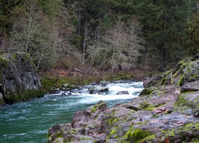 BLM Elkhorn Creek Wild and Scenic River 33
