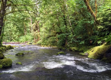 BLM Elkhorn Creek Wild and Scenic River