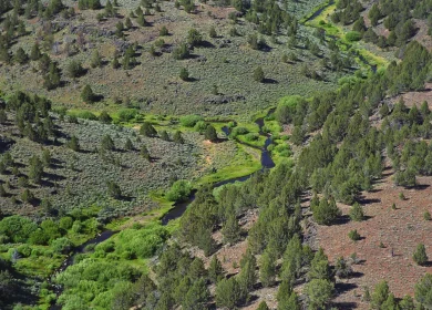 BLM Steens Mountain