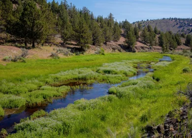 Bob Wick, BLM South Fork Crooked River 2