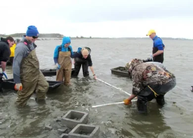 Burns, Chelsi, USFWS Chincoteague NWR Oyster Castles 6