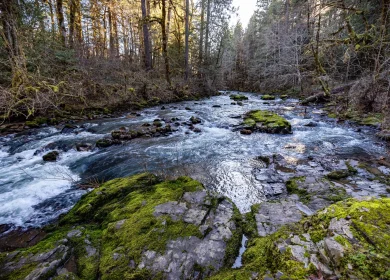 Cavitt Creek Greg Shine BLM