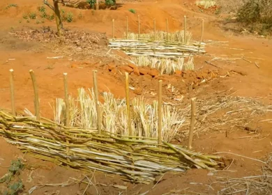 Credit Government of the Republic of Malawi 2