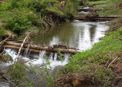 Credit The Flow Partnership, UK and People and Water, Slovakia