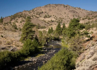 USFS Chewaucan River Canyon-Fremont Winema