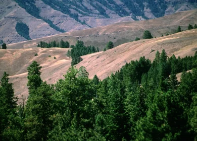 USFS Hells Canyon NRA, Wallowa Whitman National Forest